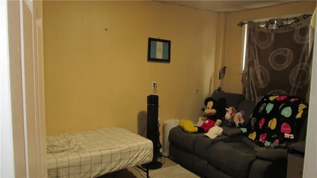 Picture 11