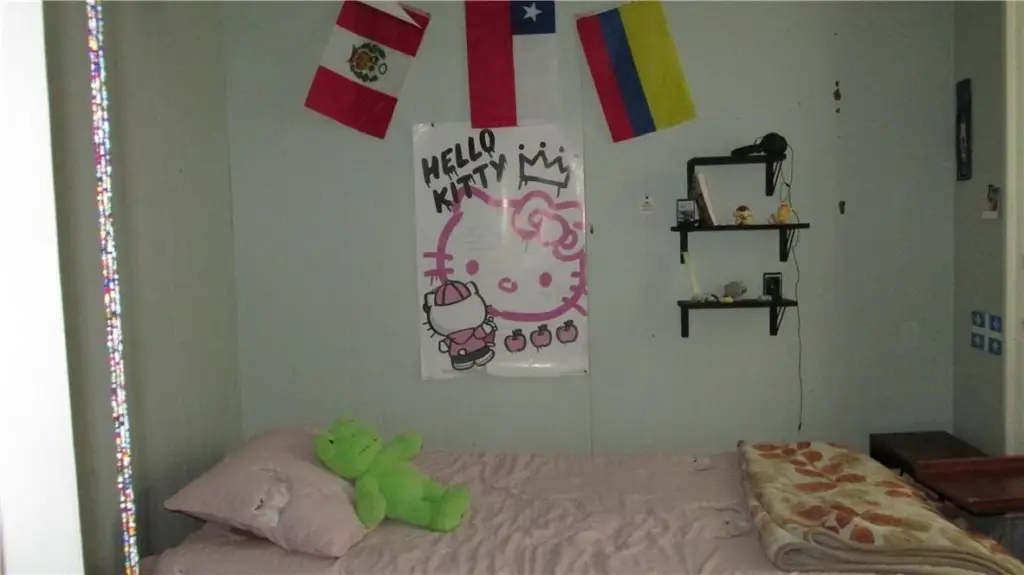 Picture 21
