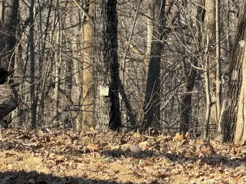 45 Acres with Utilities