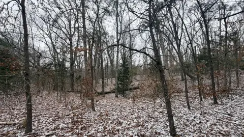 Residential Land in Paint Lick