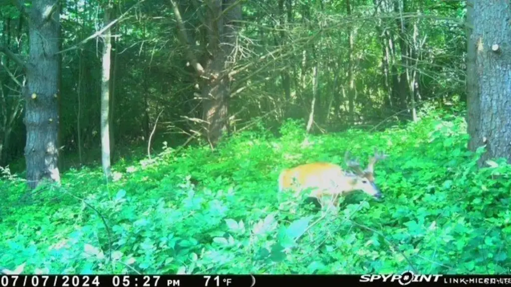 Picture 14