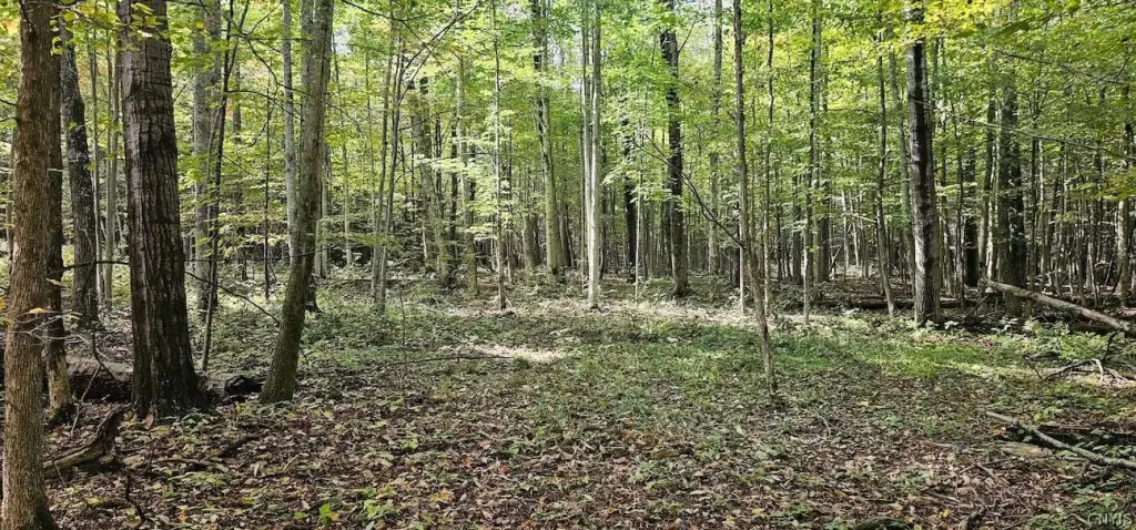 Picture 17
