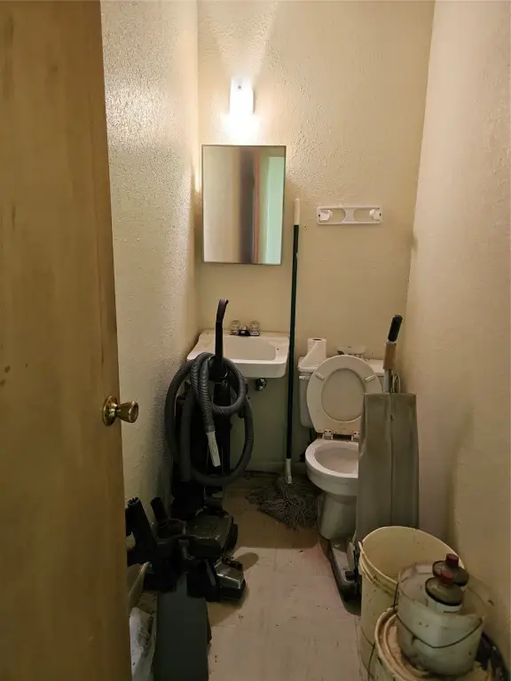 Picture 11