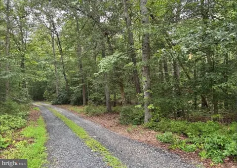 Wooded Lot in Brandywine, MD