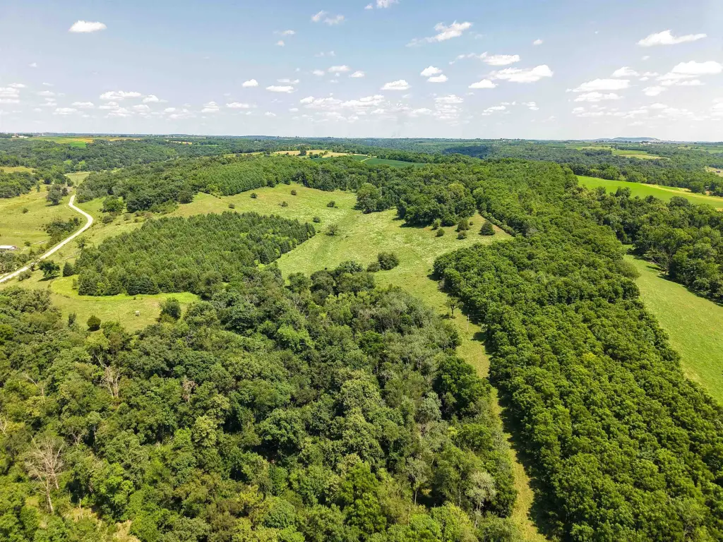 Picture 31