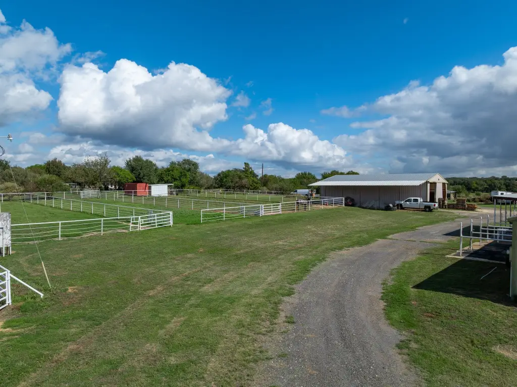 Picture 7
