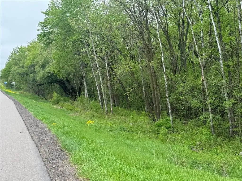 Picture 21
