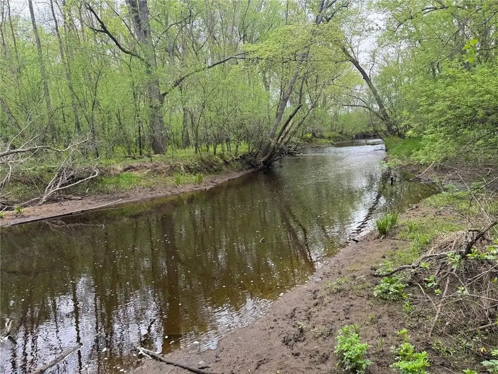Picture 17