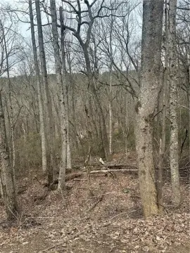 6+ Acre Homesite in Jasper