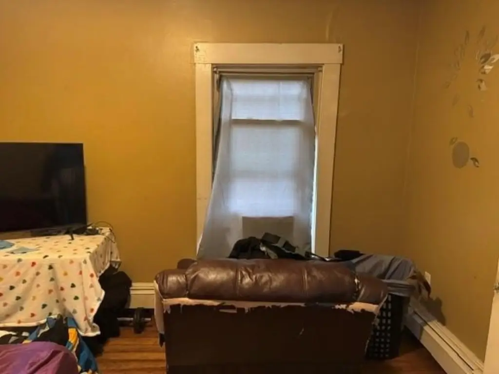 Picture 15