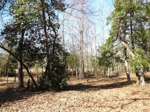 Waterfront Lot in Gated Community