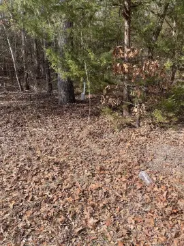 Callender Lake Wooded Lots