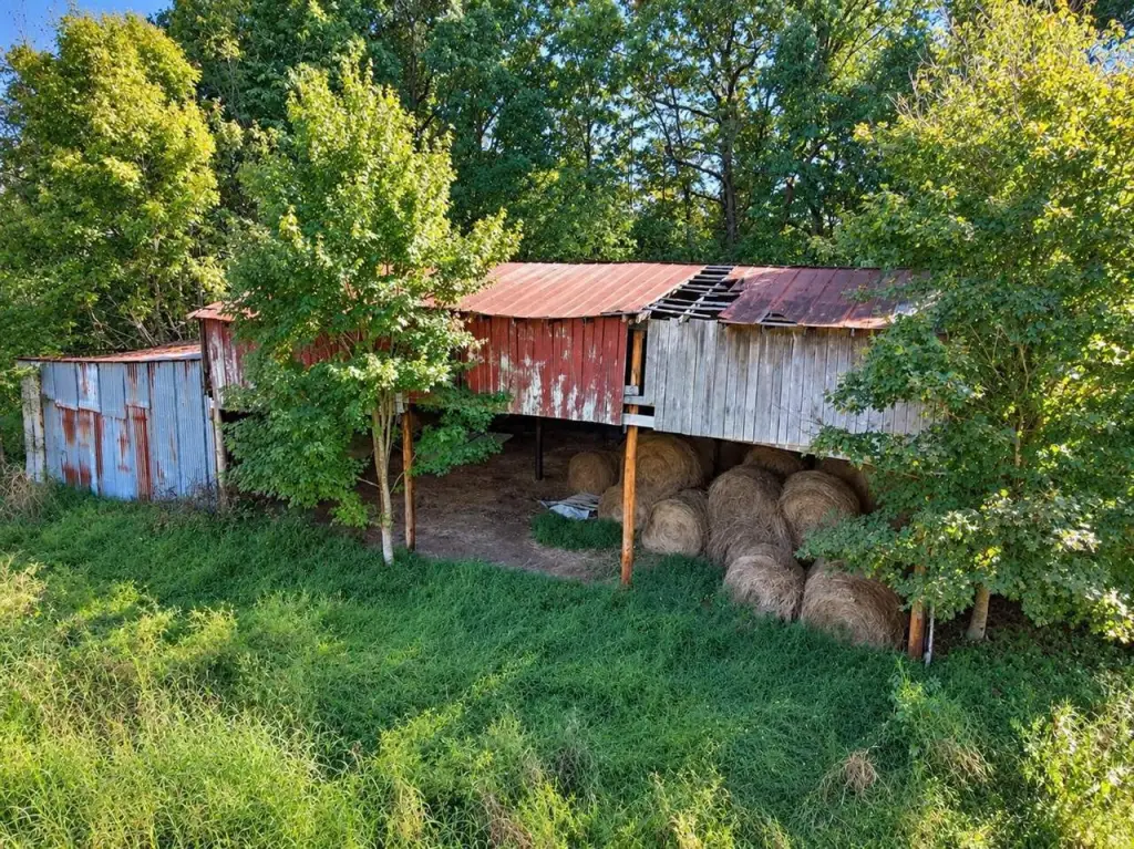 Picture 20
