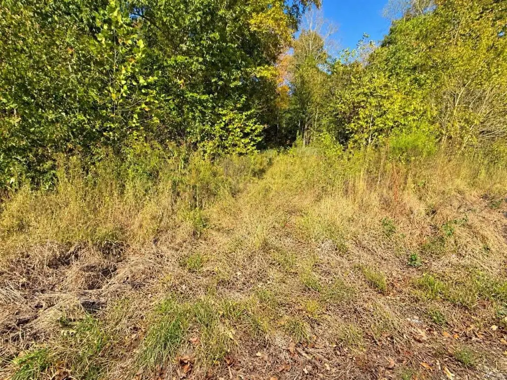 Picture 21