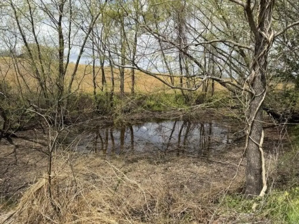 Picture 7