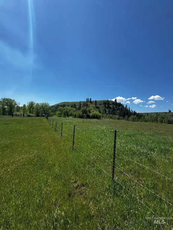 Picture 25