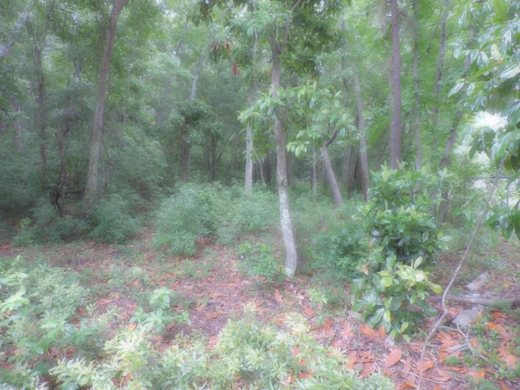 Picture 5
