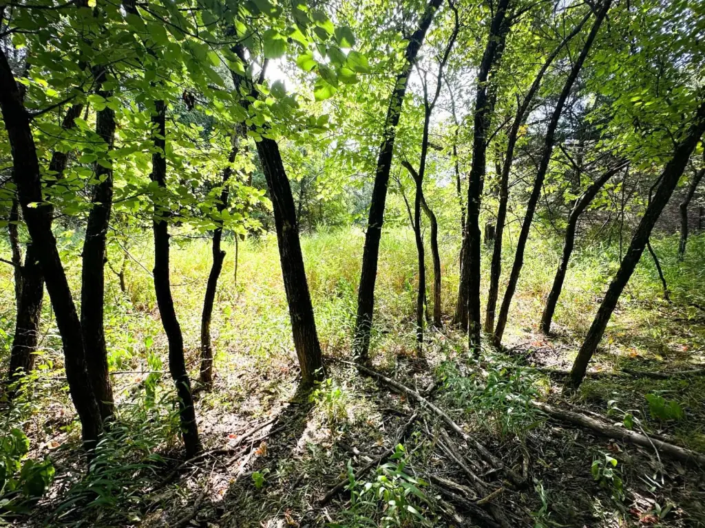 Picture 25