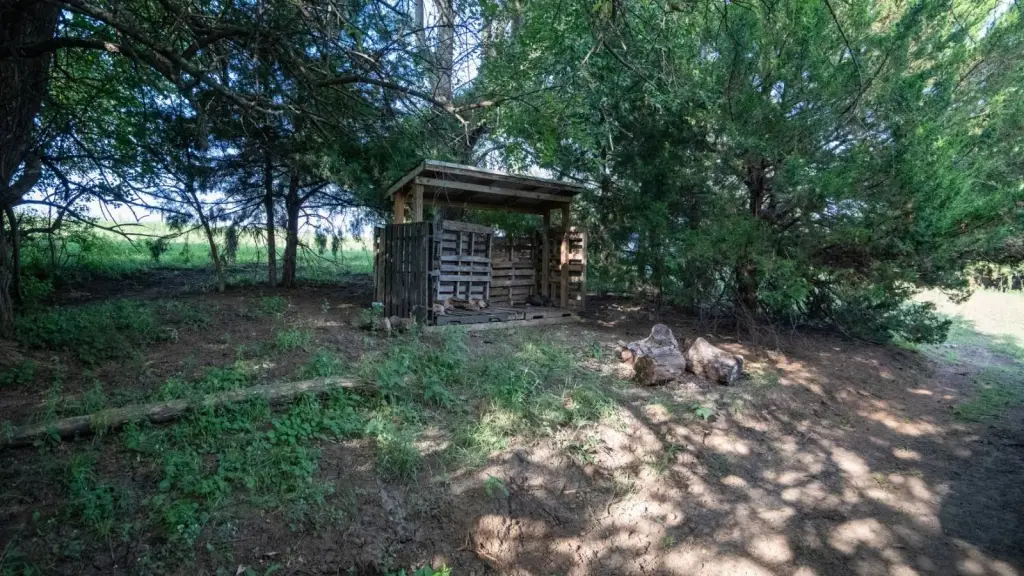 Picture 38