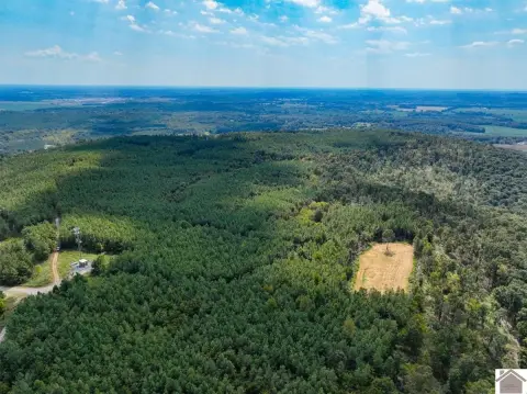 Livingston County Hunting and Timber Tract