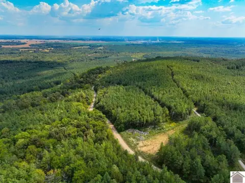 Hunting Land in Salem, KY