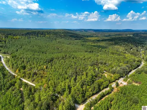 Livingston County Hunting and Timber Tract