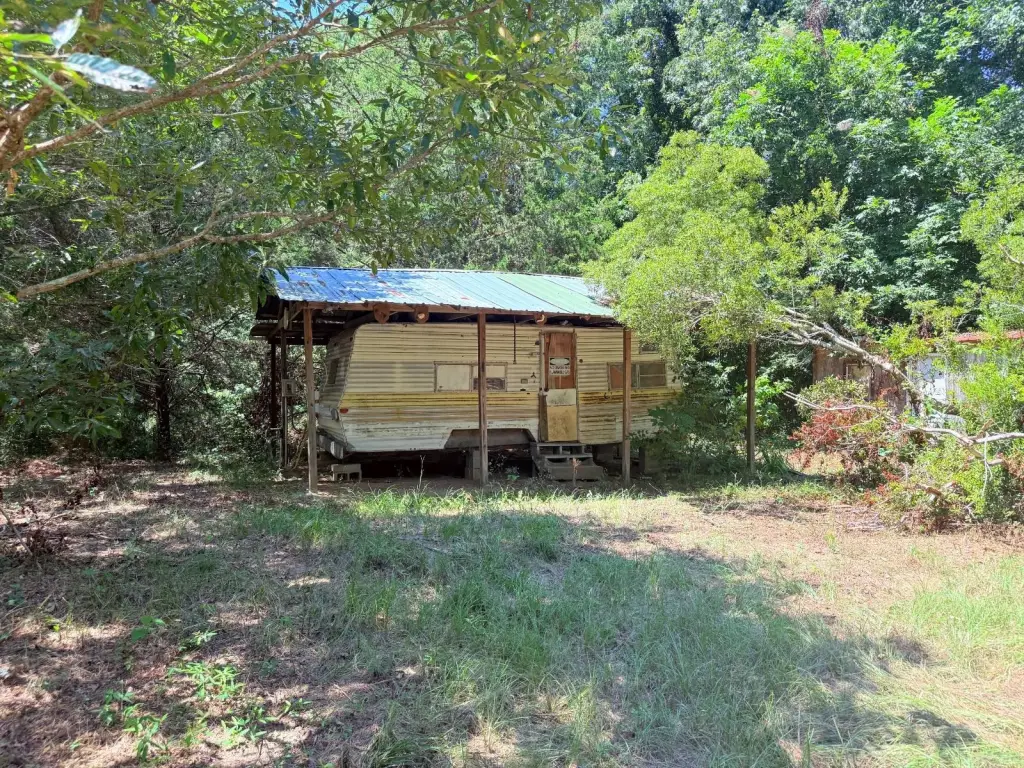 Picture 19