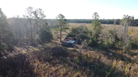 Expansive Land Near Wadboo Creek