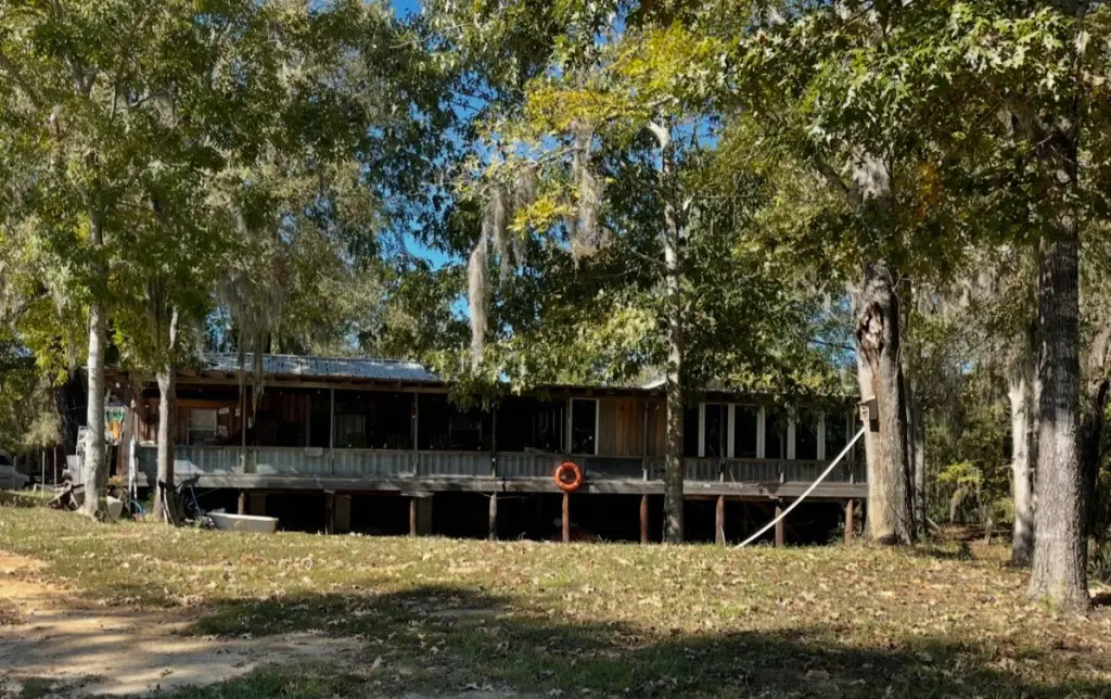 Picture 6