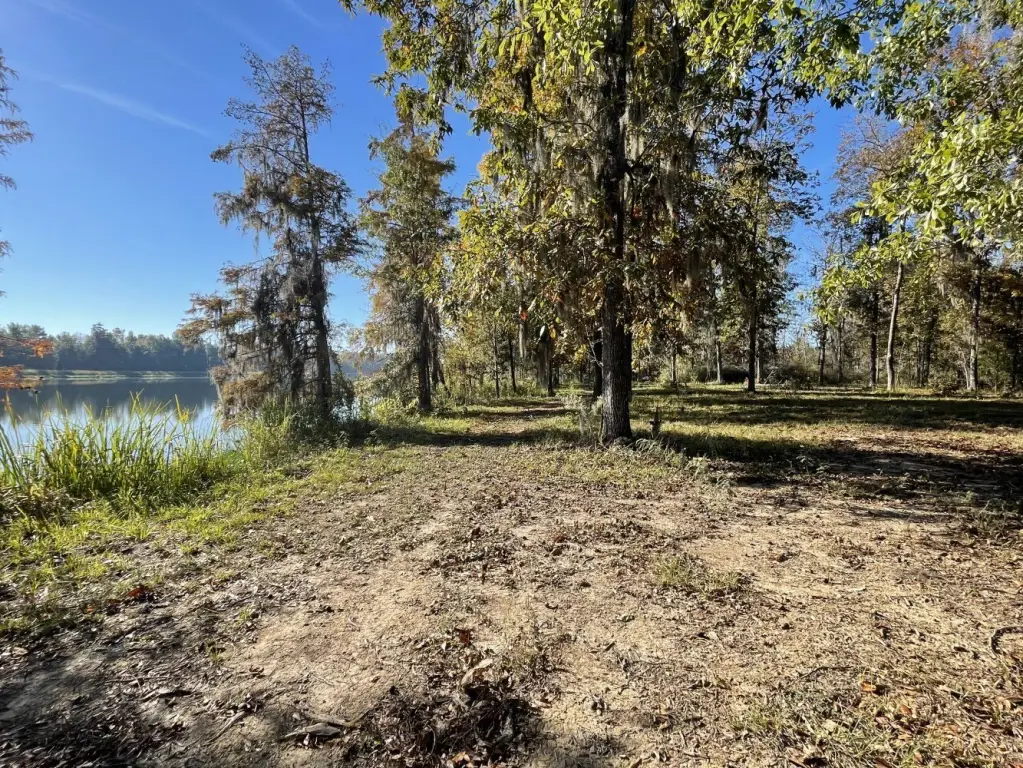 Picture 19