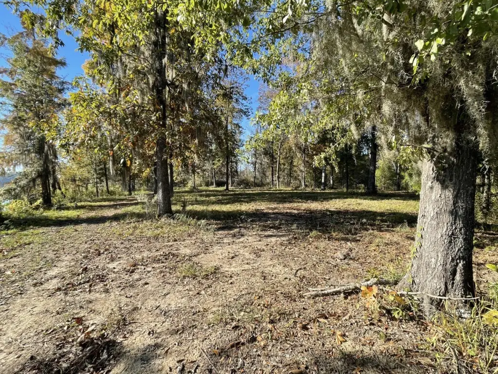 Picture 10