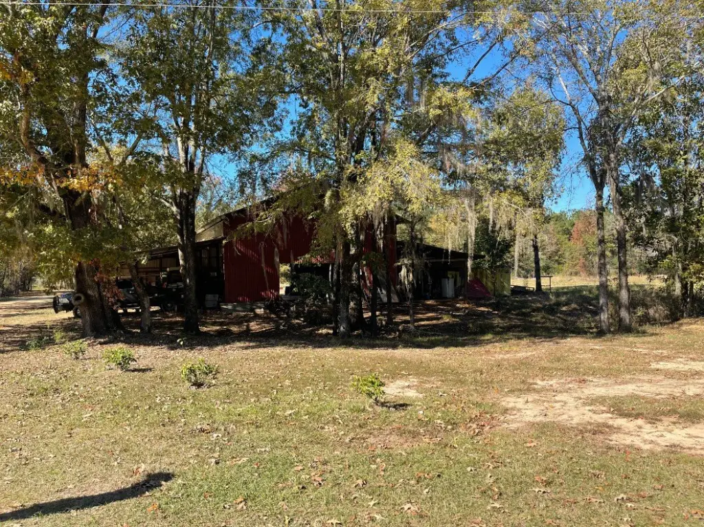 Picture 24