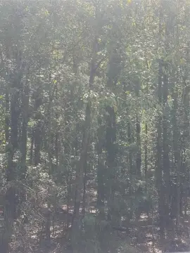 Unimproved Land in Oil City