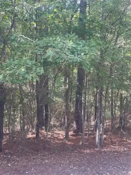 Land For Sale in Oil City