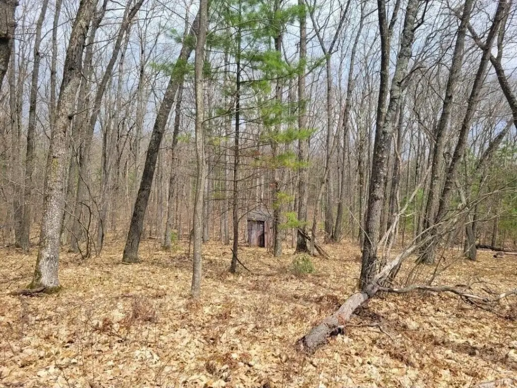 Picture 10