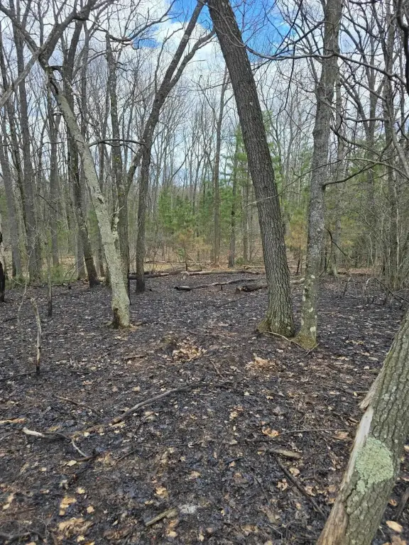 Picture 14