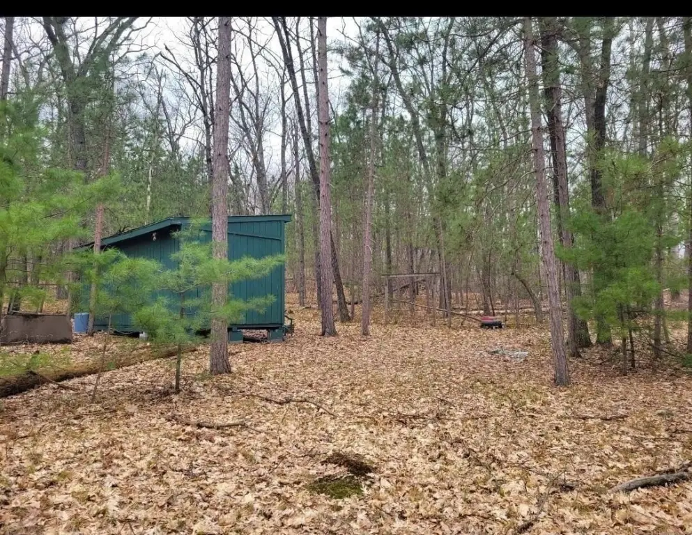 Picture 6