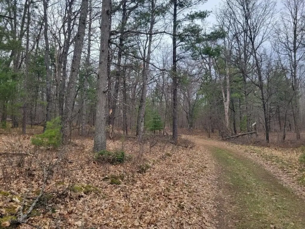 Picture 9