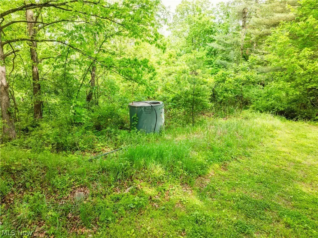 Picture 14
