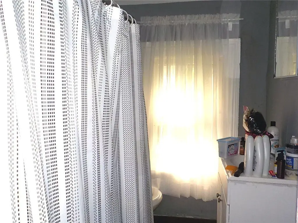 Picture 15