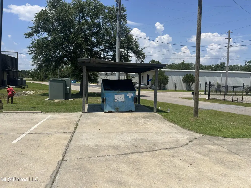 Picture 5