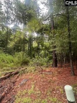 Residential Lot in Lexington, SC