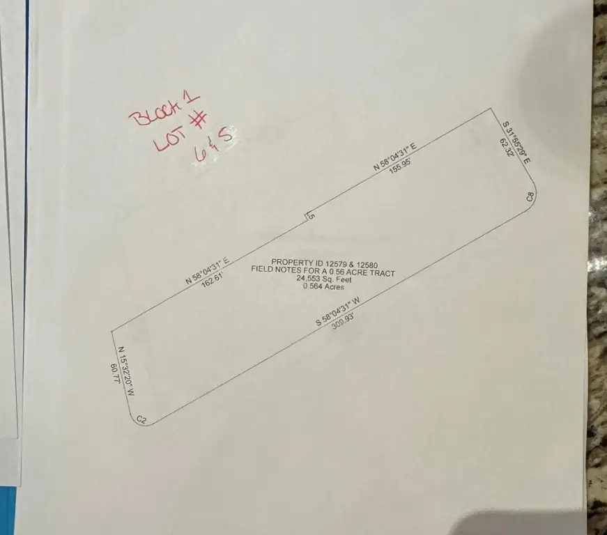 Picture 5