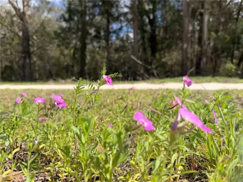 Land Near Archer-Braid Trail