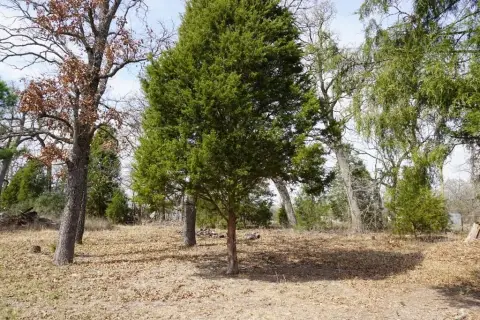 Residential Lots in Log Cabin