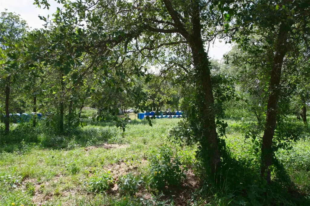 Picture 32