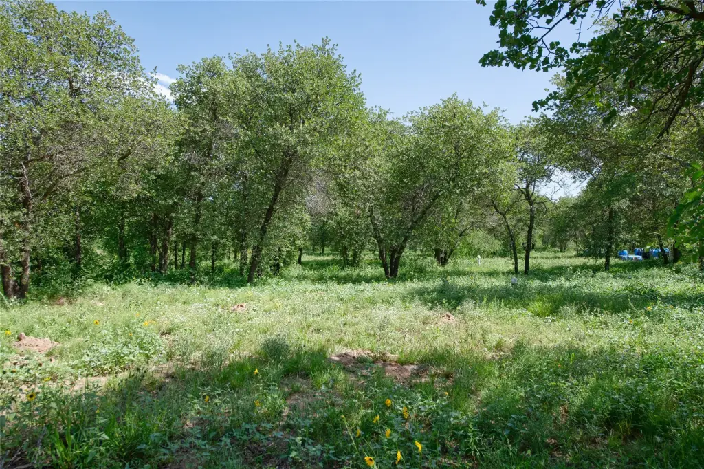 Picture 25