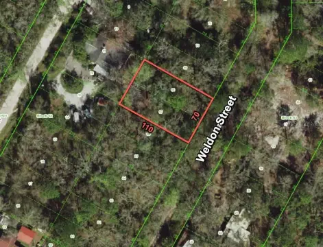 Wooded Lot in Moon Lake Estates