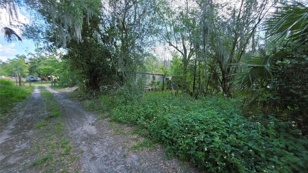 Picture 7
