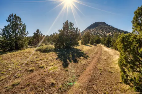 Mitchell, Oregon Acreage with Views